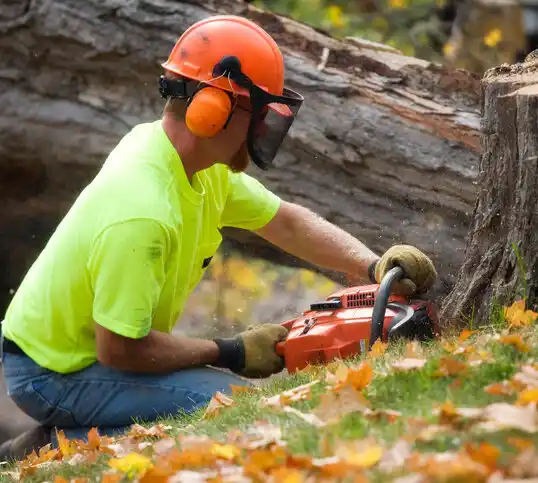 tree services North Great River